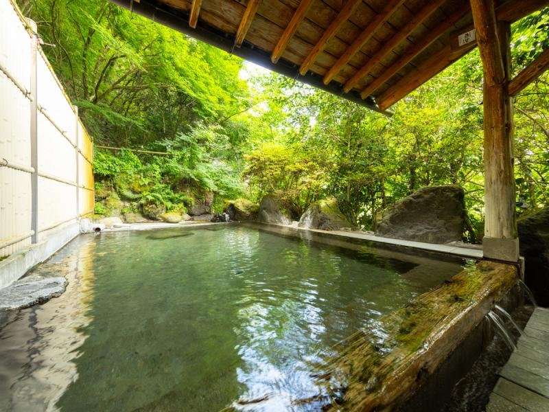 Hotarutokajika Ryokan Kokonoe