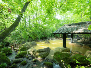 旅館 新清館