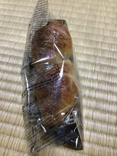 蒼乃樹