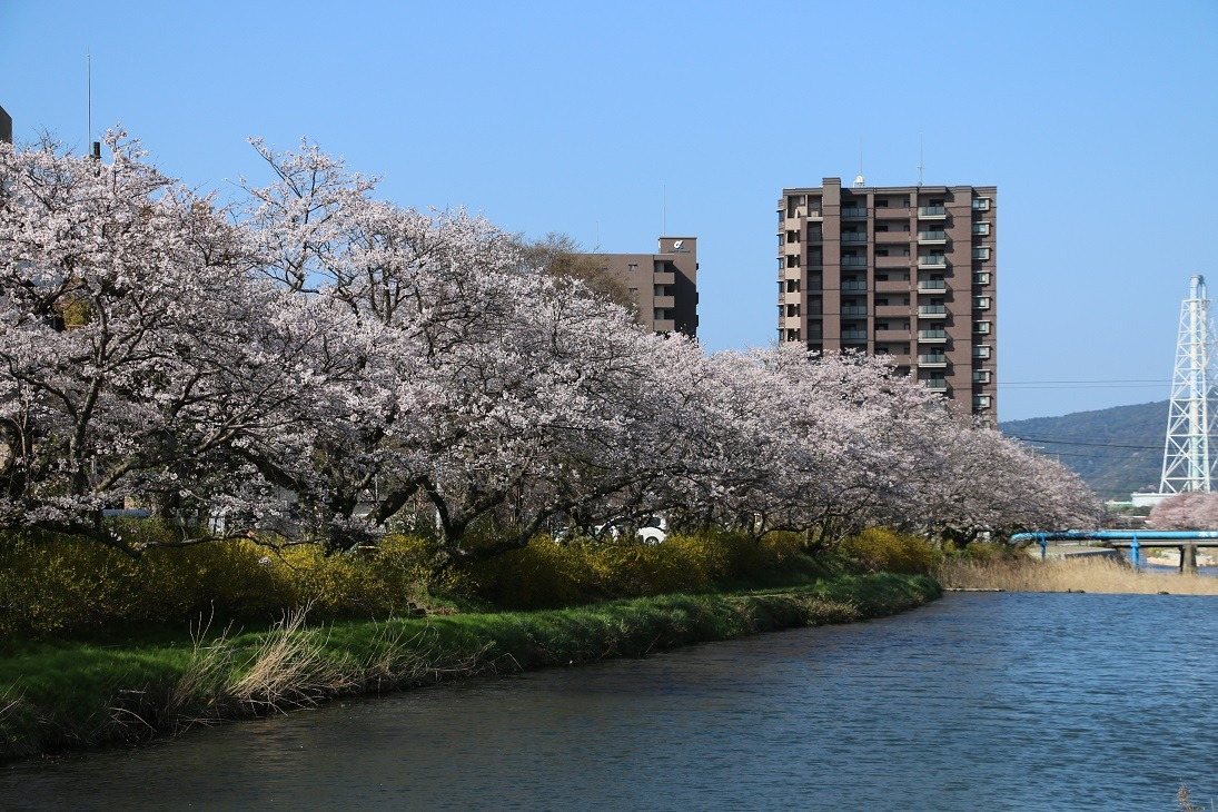 Kirido Kawa River Park