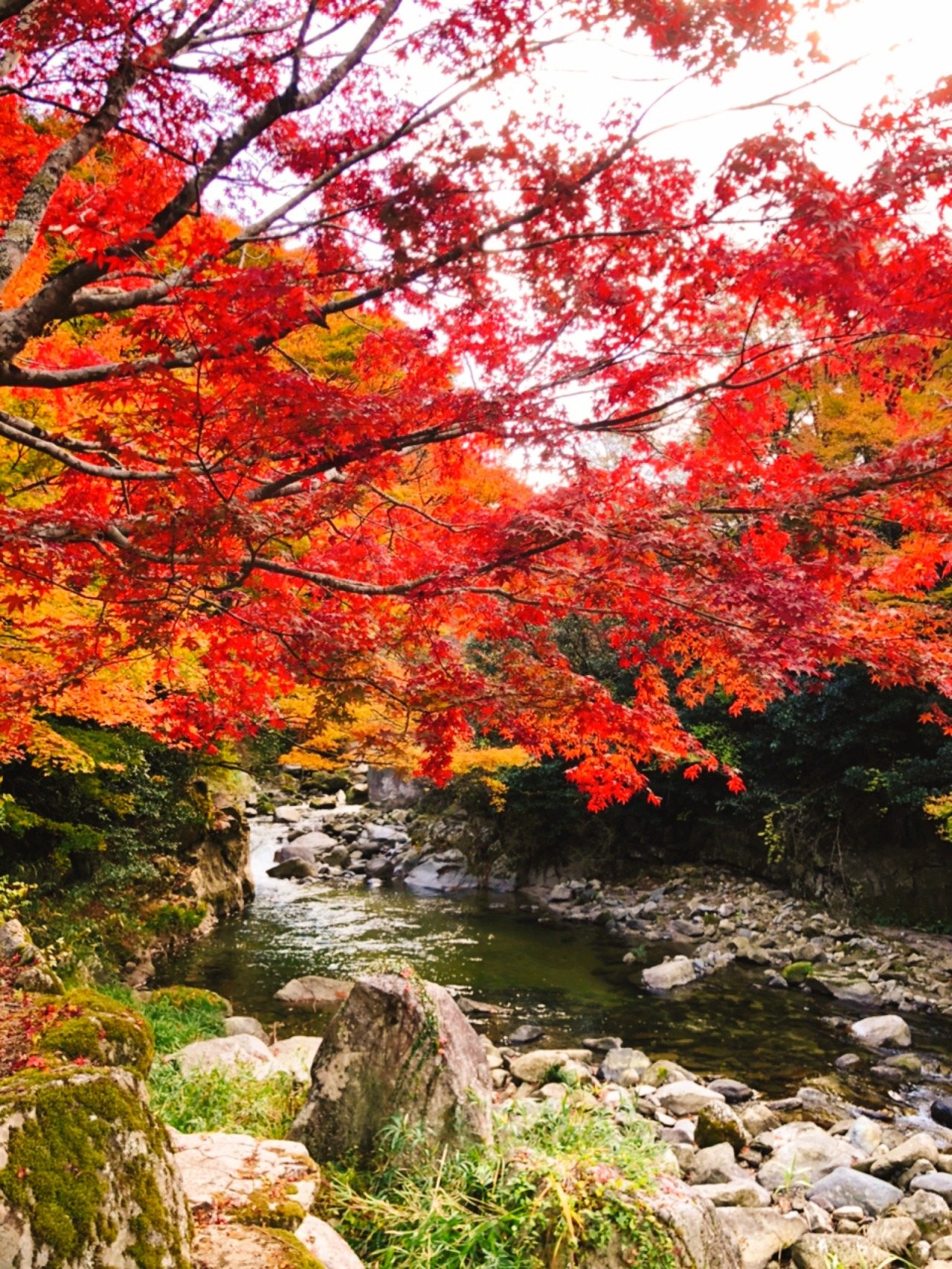 Taki no Kuchi River Park
