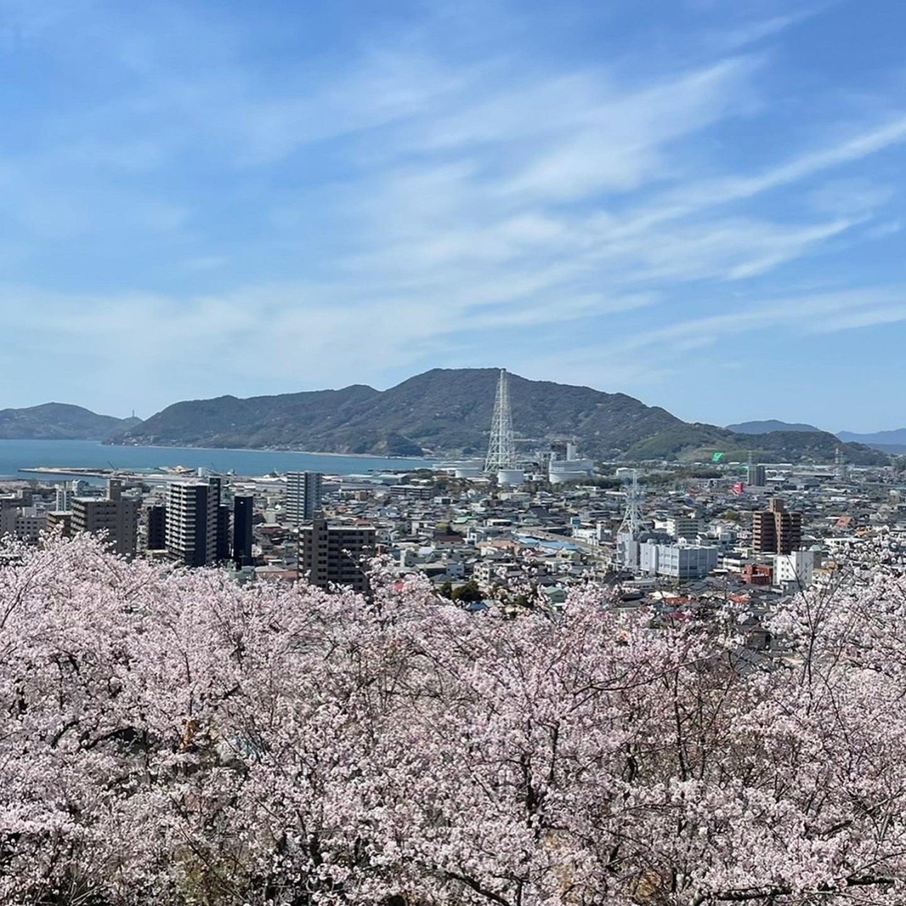 Kudamatsu Park