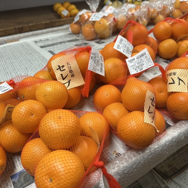 夢咲茶屋