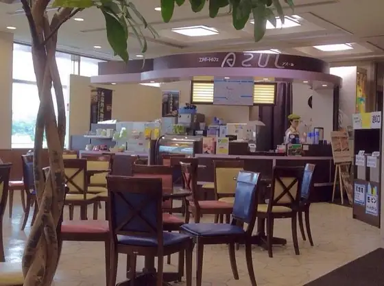 Airport Cafe Azul