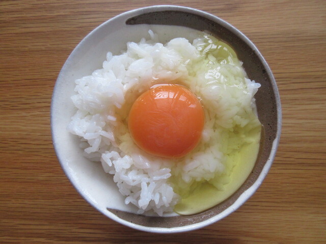 ONDO
