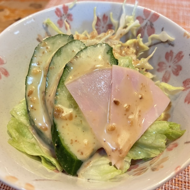 照寿し