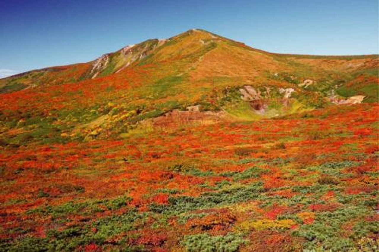 Autumn foliage at Iwakagami Flat on Mount Kurikoma