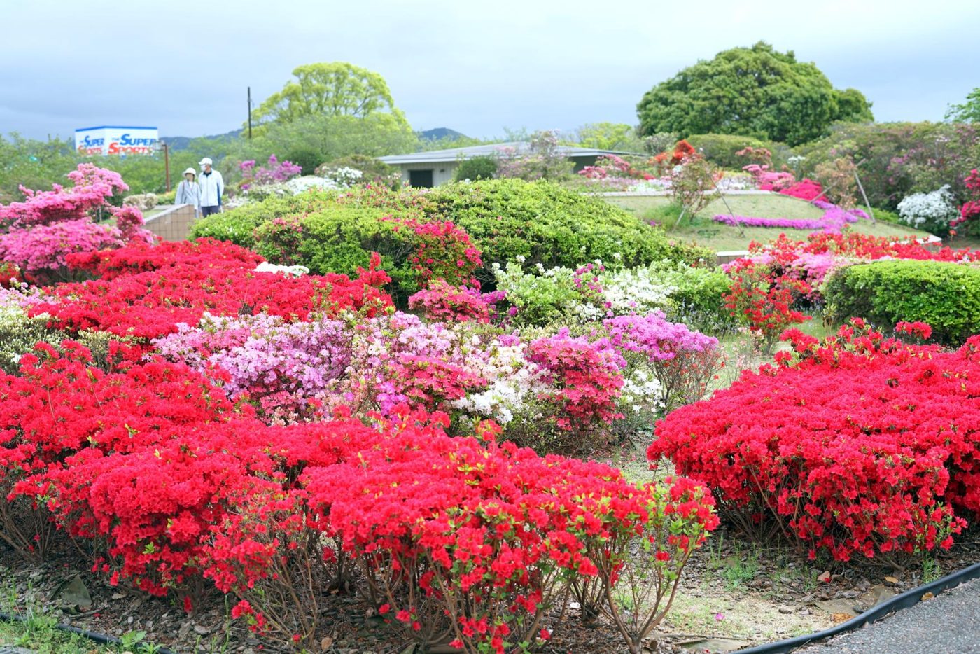 Kurume Centennial Park