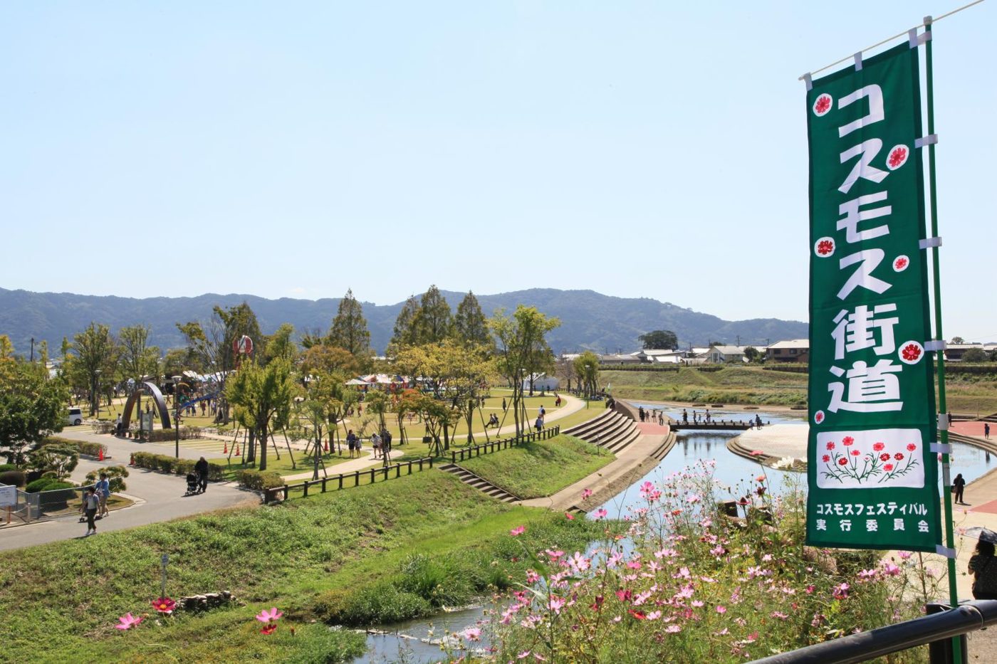 Cosmos Park Kitano