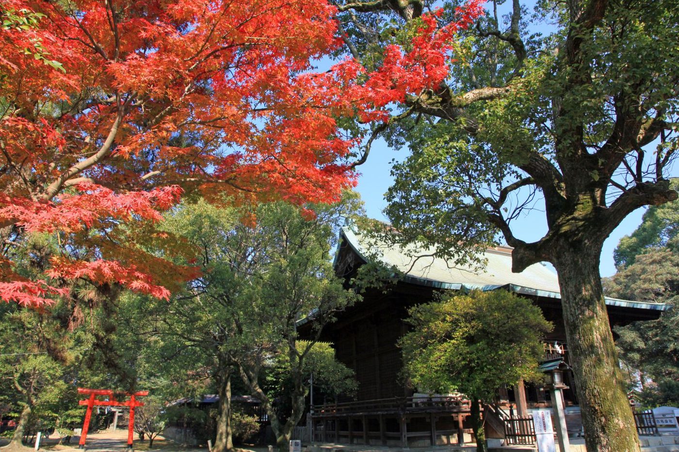Kurume Castle Ruins