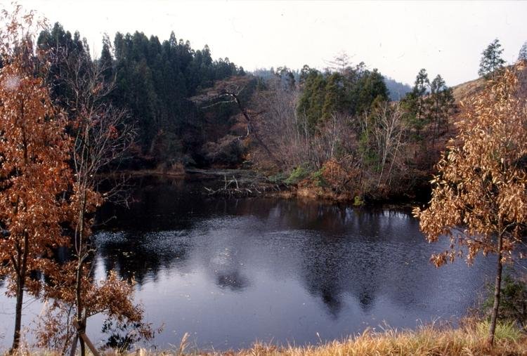 Tsurugahara View