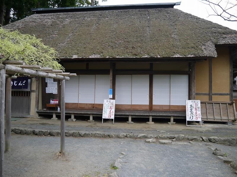 Donjiki Chaya