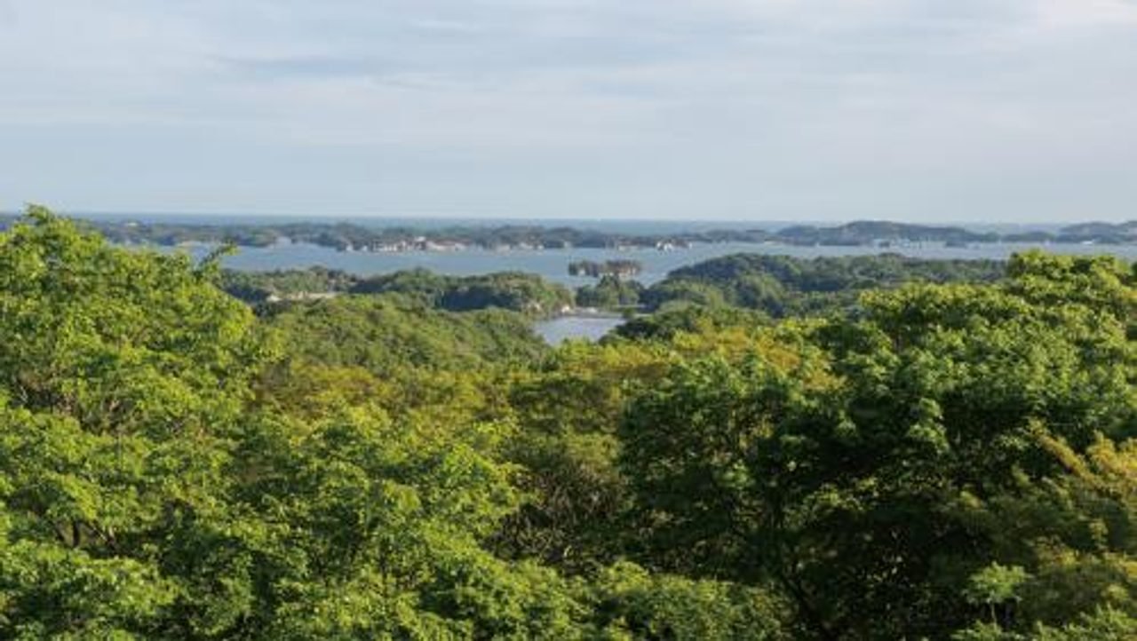 Reikan Tomiyama Viewpoint