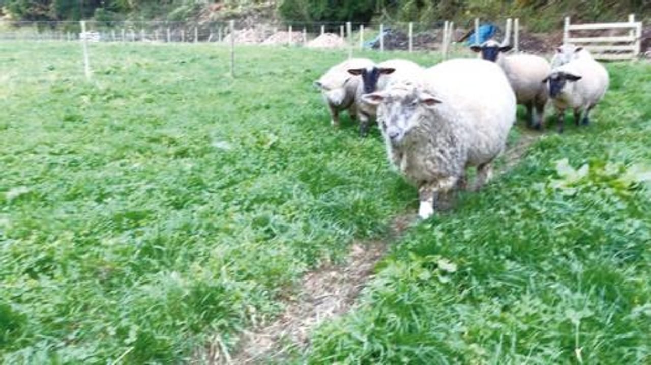 Satoumi Farm