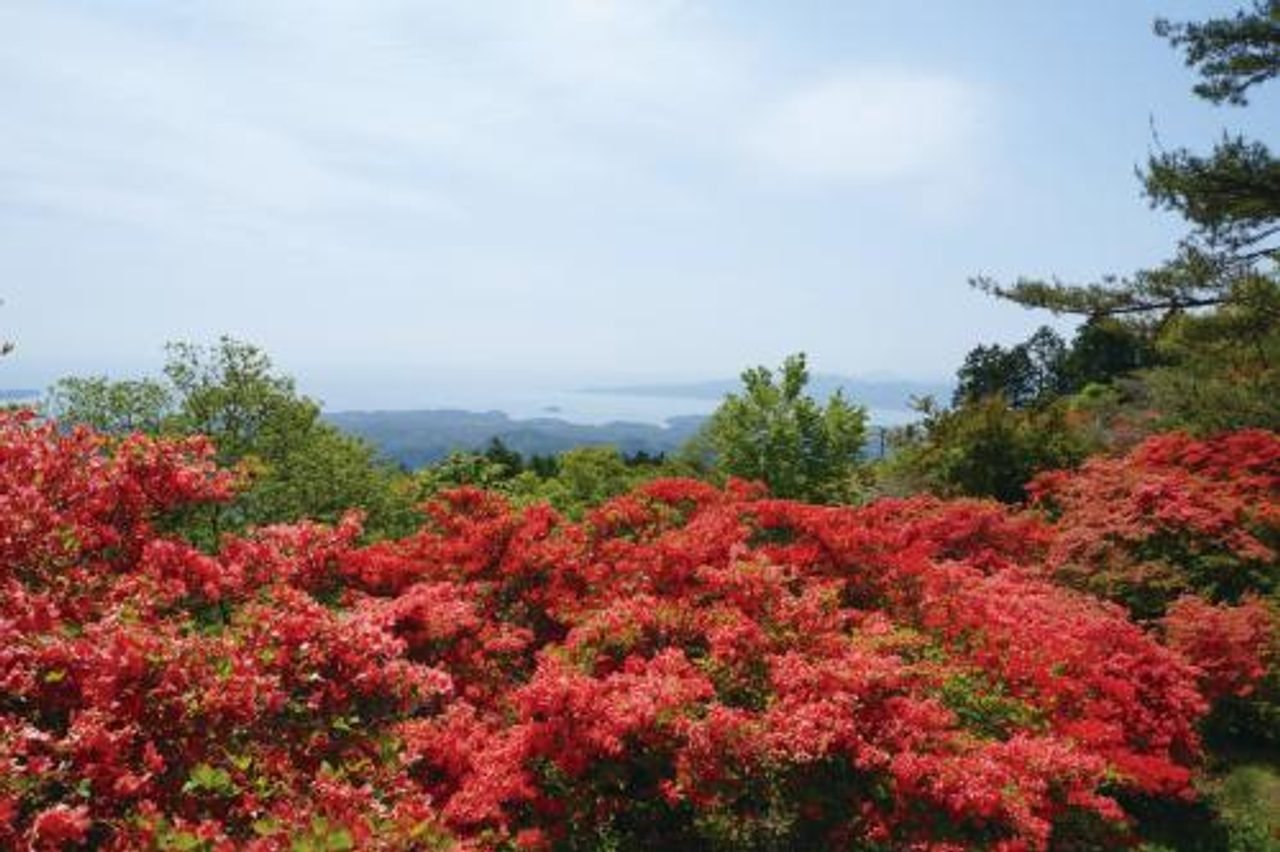 Mount Tatsue