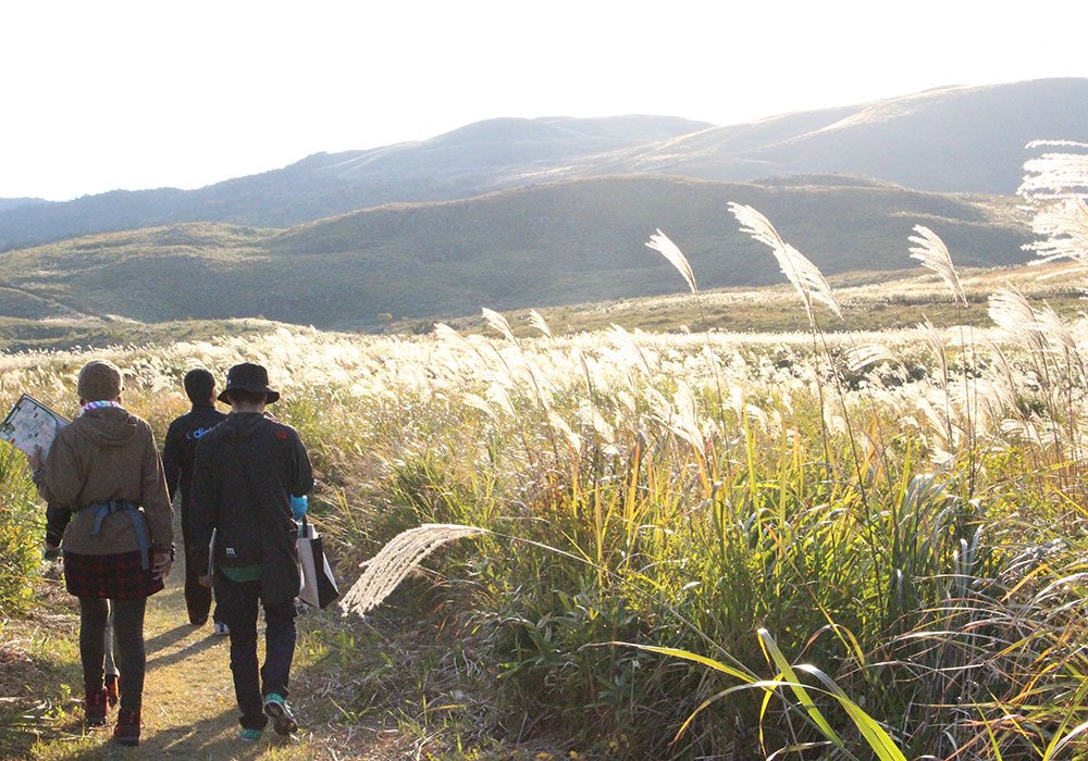 Akiyoshidai Trekking Tour (Scenic 3.5 km Course)