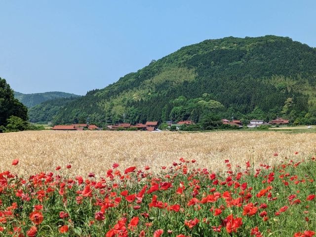 Aokage Village Geo-Guide Tour
