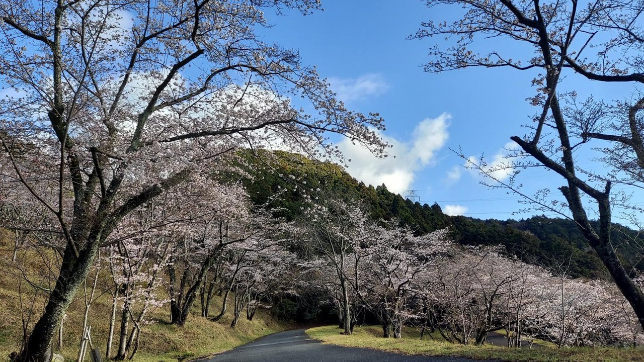Chuai Park