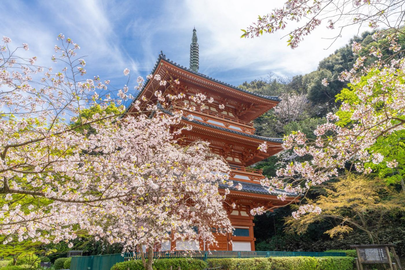 Kiyomizu-dera Temple (Miyama)