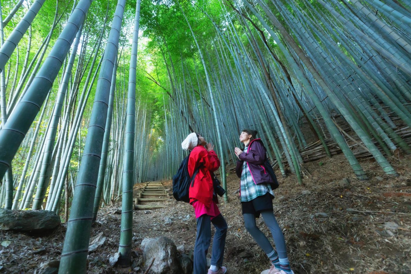 Kyushu Olle Miyama-Kiyomizuyama Course