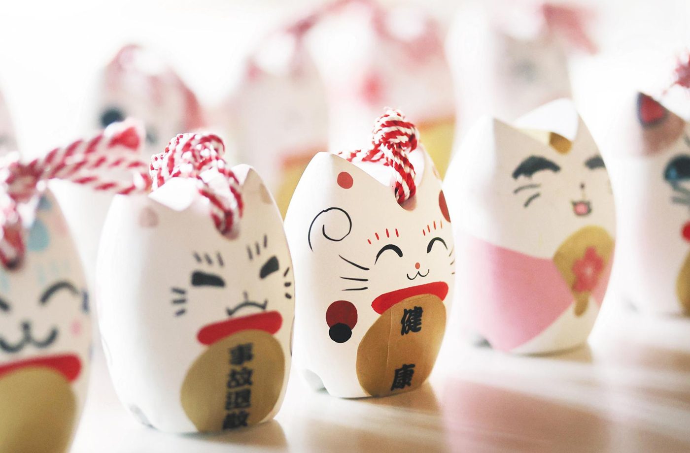 Miyawaka Oidashi Neko Main Store