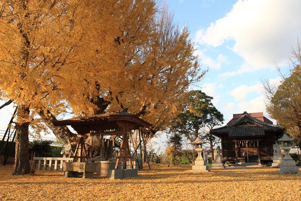 Yatsurugi Shrine