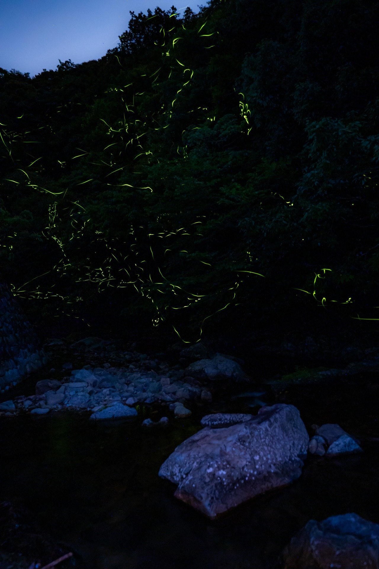 Nanae Kawa River Park / Hotaru