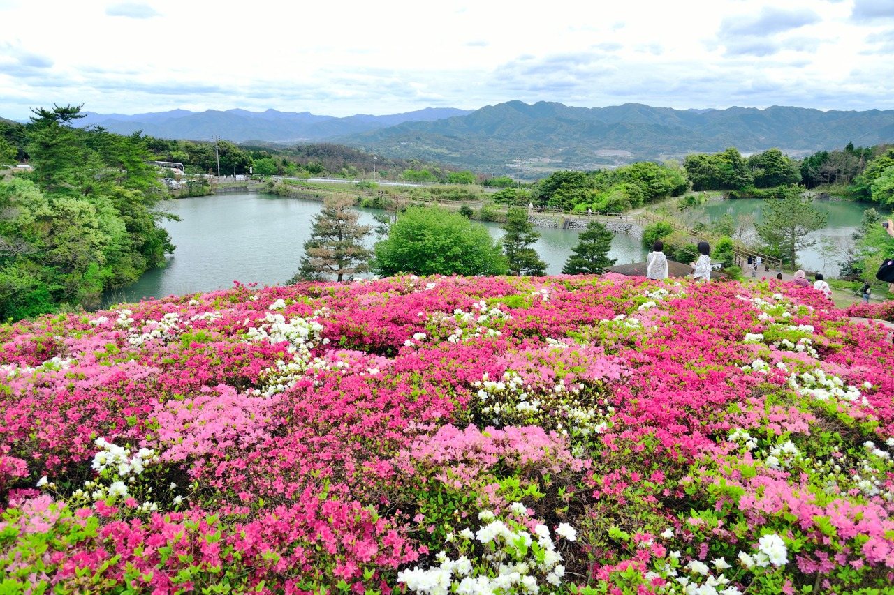 Sugamuta Park