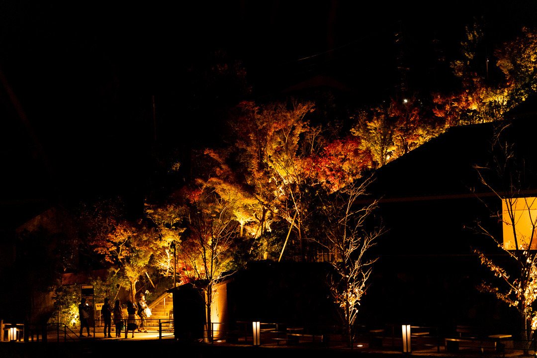 Autumn Leaves Goro Ne BAR Aki no Yonaga no Sozoro Aruki