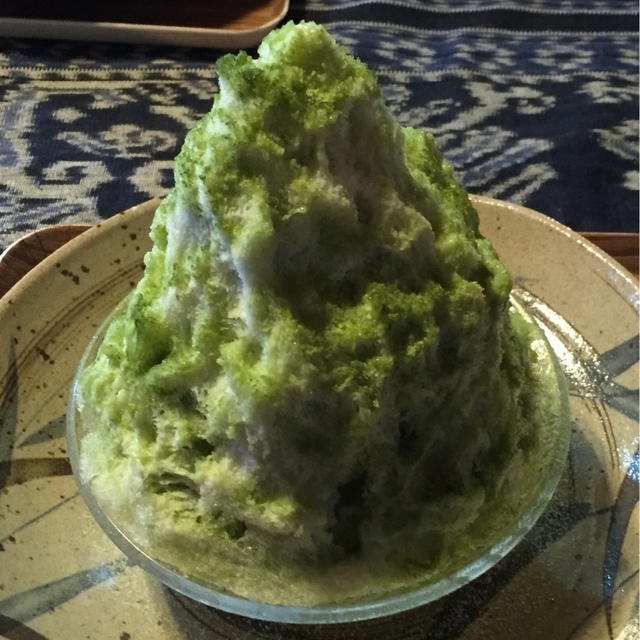 こむ樹