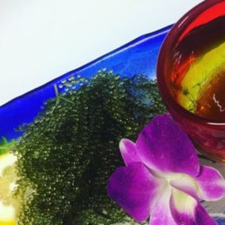 南国ダイニングALOALO