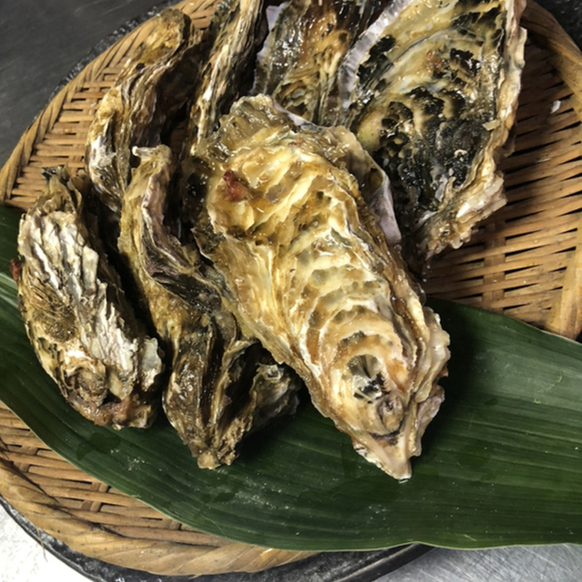 大衆炭火焼肉 ホルホル