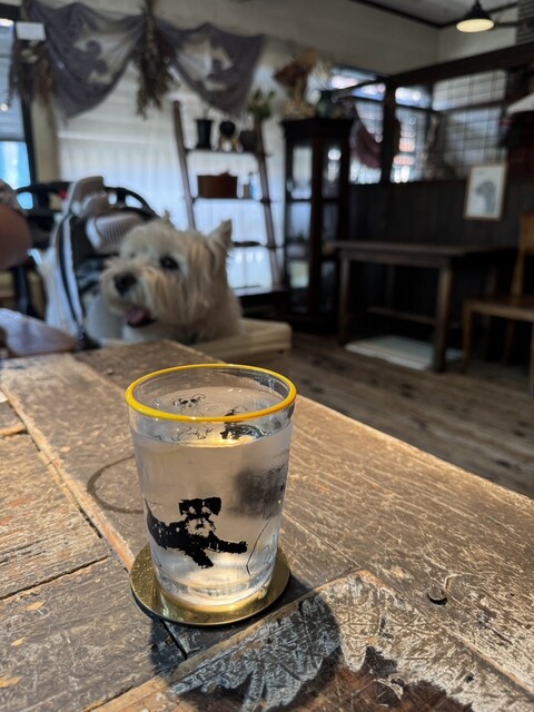 マヨたこ 中間店