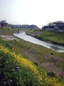 Onga Canal