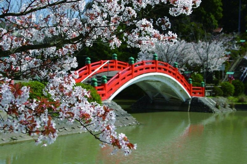 Kakio Park