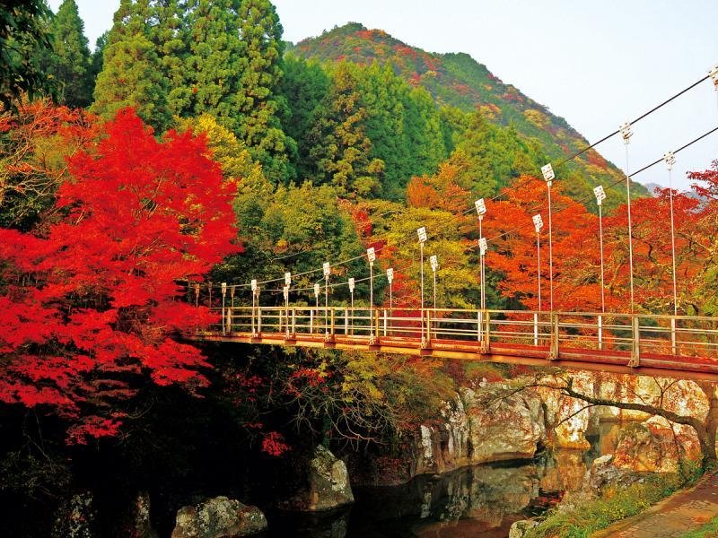 Sarutobi Sentsubo Gorge
