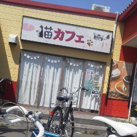 猫カフェアミパ 名取店