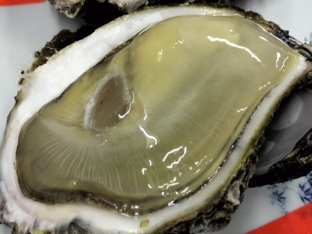 はまなす物産センター