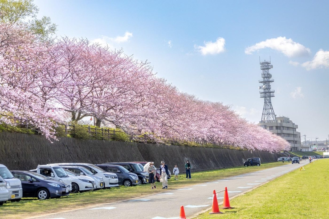Nogata Ribasaido Park (Onga Kawa Kasenjiki Park)