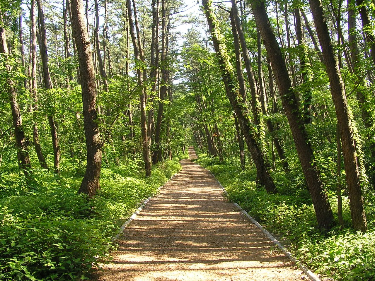 Kaze no Matsubara