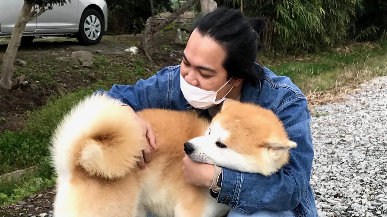 Akita Inu Fureai Experience (Noshiro Yukitoshi So)