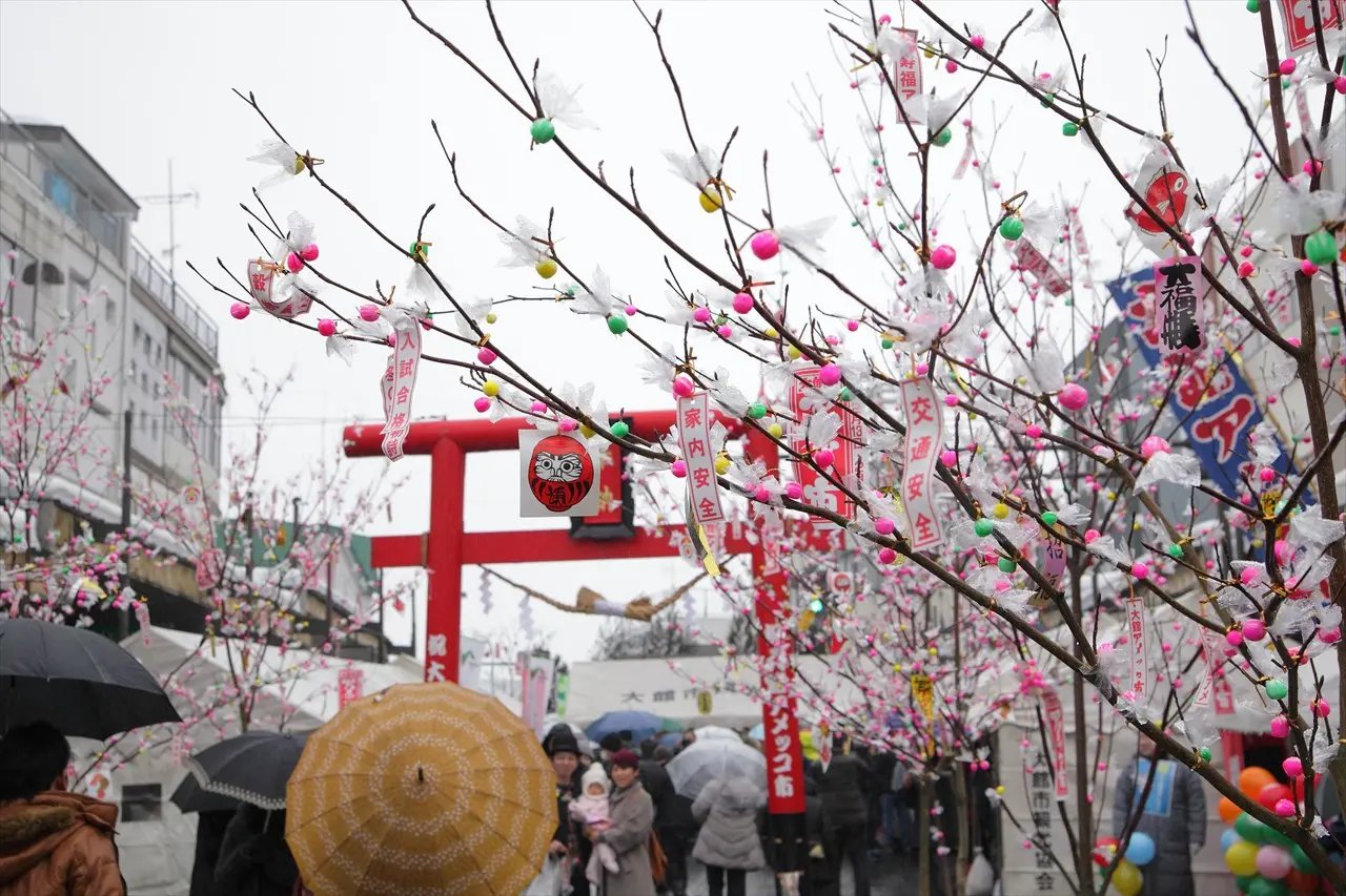 Odate Amekko City