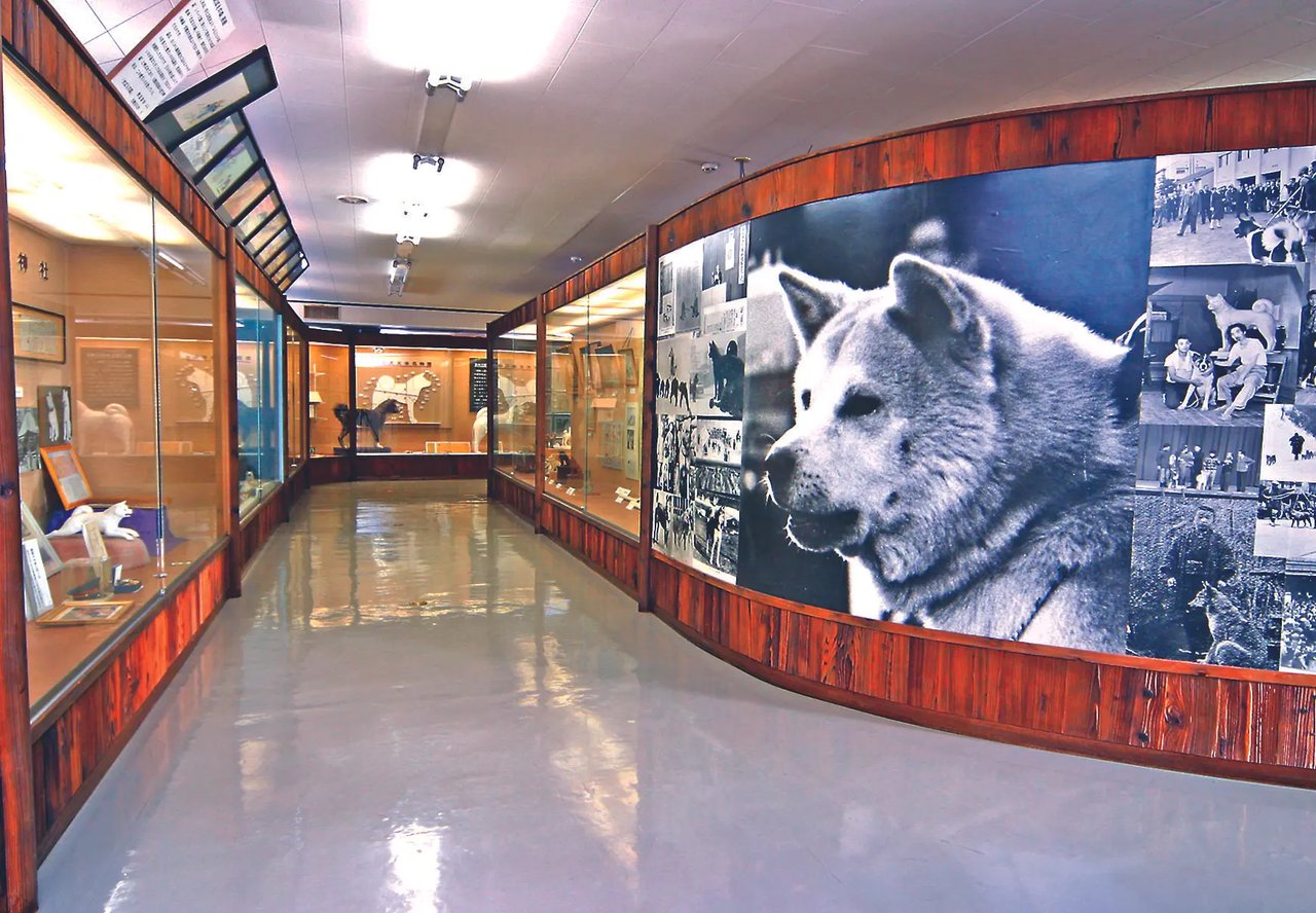 Akita Inu Hall (Akita Inu Hozon Kai)