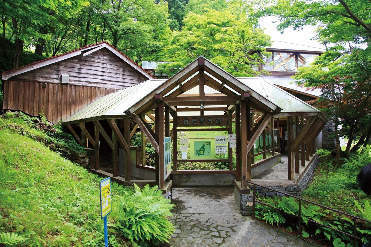 Cho So Kazana Kozanshokubutsu Gunraku