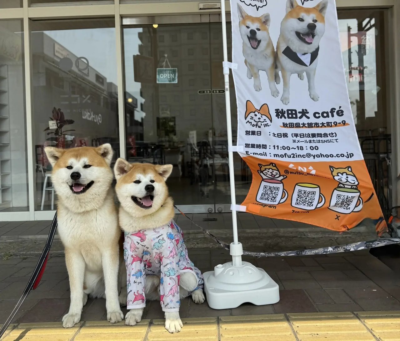 Akita Inu café (Akita Inu Kafe)