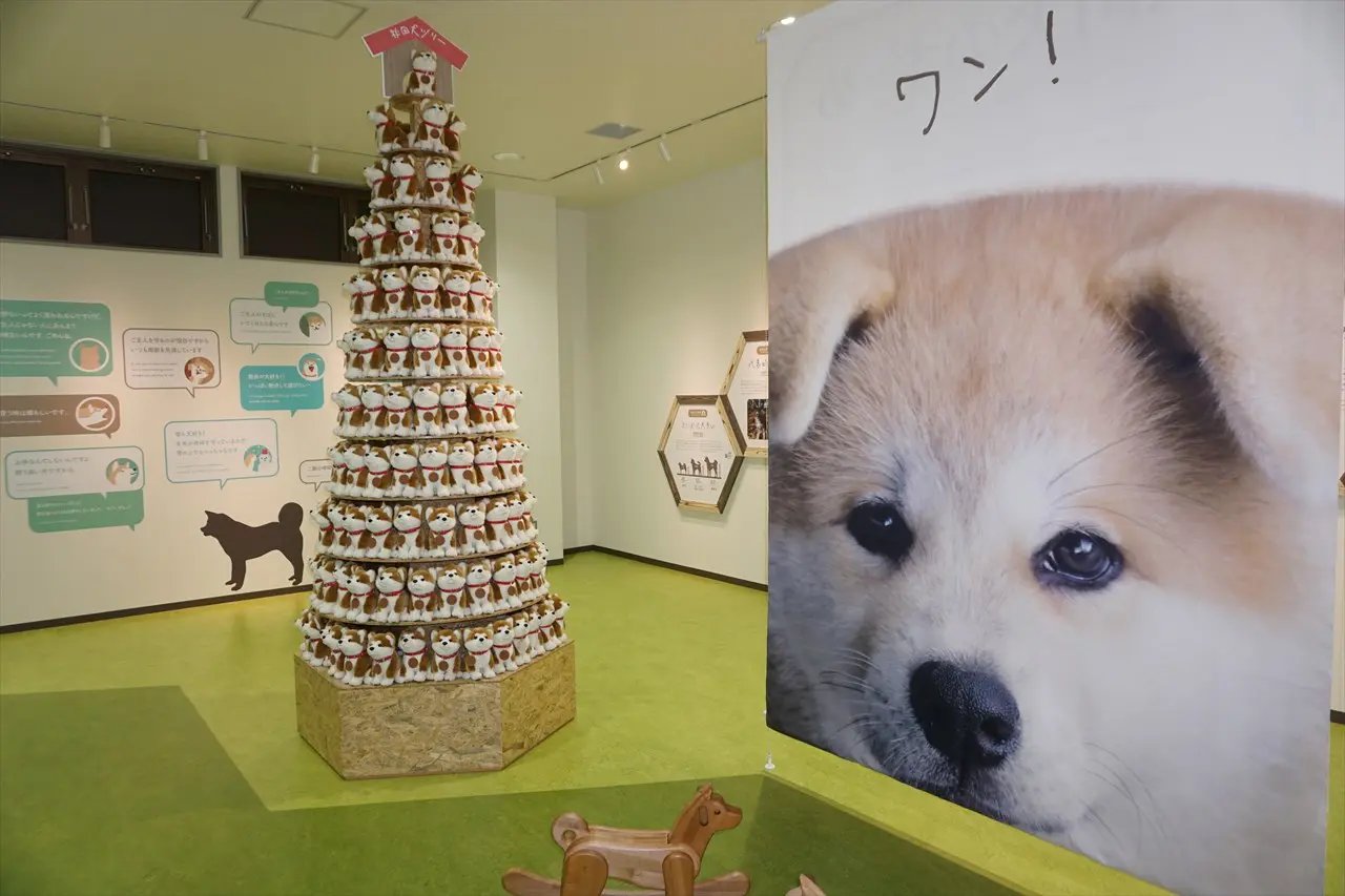 Akita Inu Village