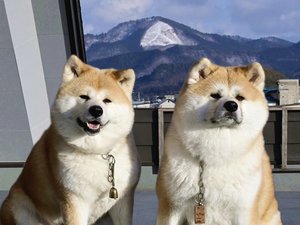 ふるさわおんせん