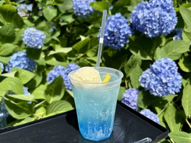 あじさいカフェ
