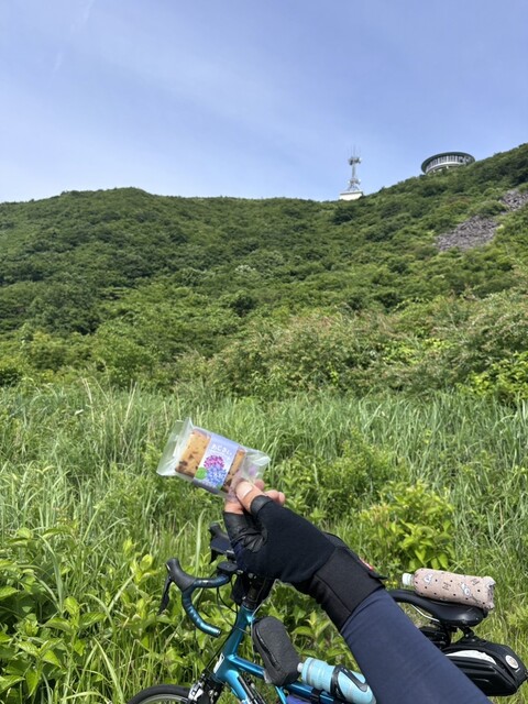 鈴木金栄堂