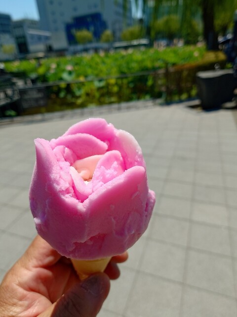 児玉冷菓